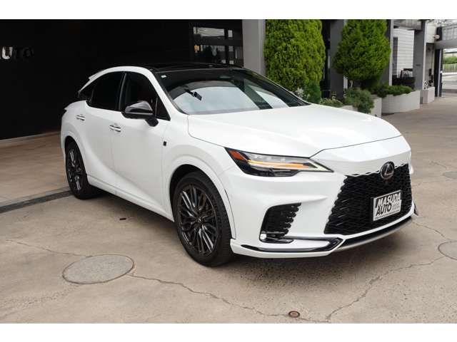 LEXUS RX500h
