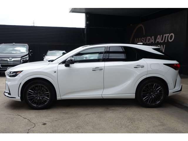 LEXUS RX500h