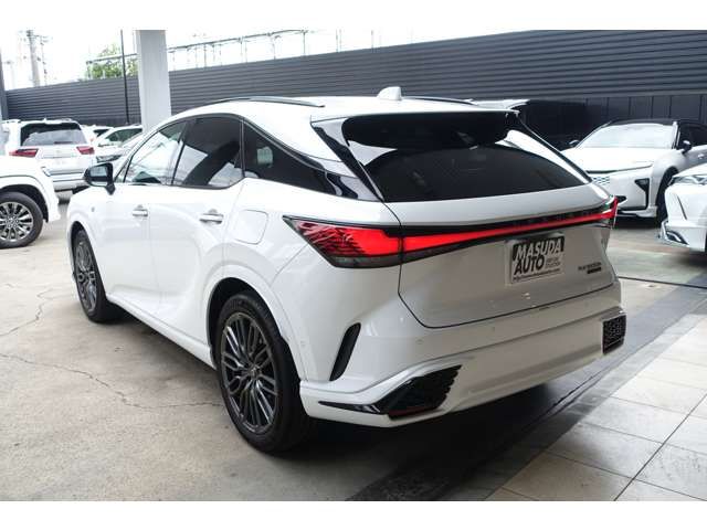 LEXUS RX500h