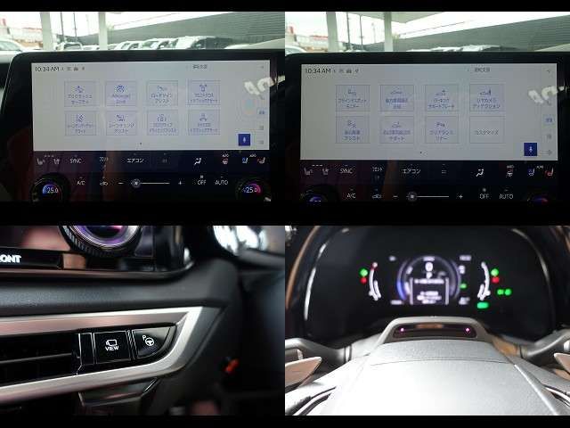 LEXUS RX500h