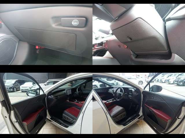 LEXUS RX500h