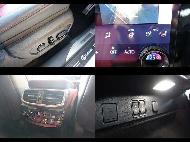 LEXUS RX500h