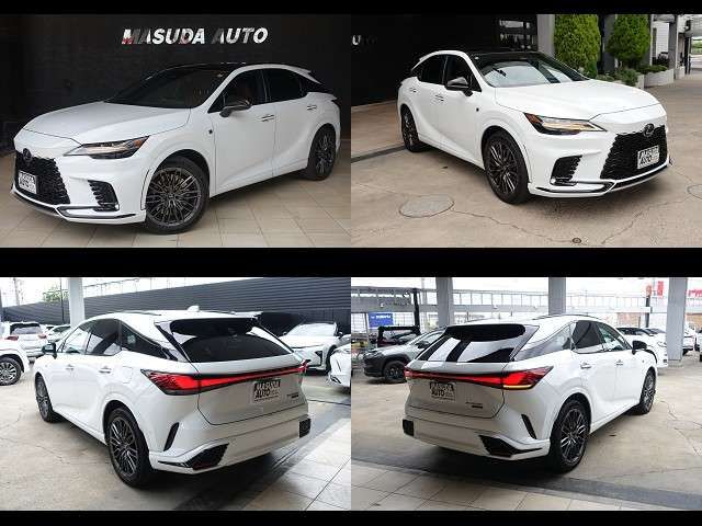 LEXUS RX500h