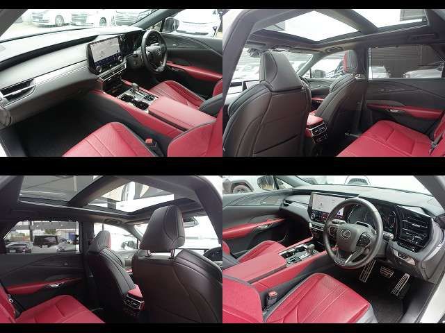 LEXUS RX500h