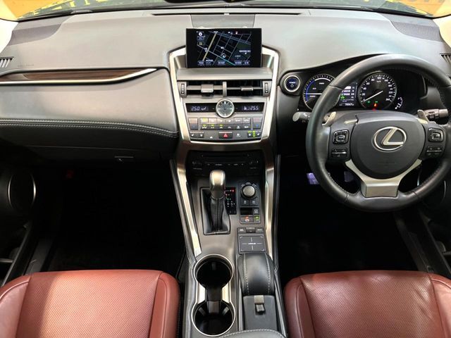 LEXUS NX300h