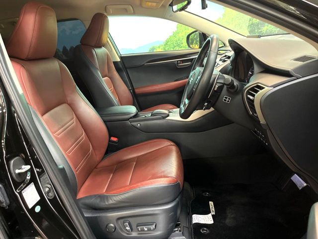 LEXUS NX300h