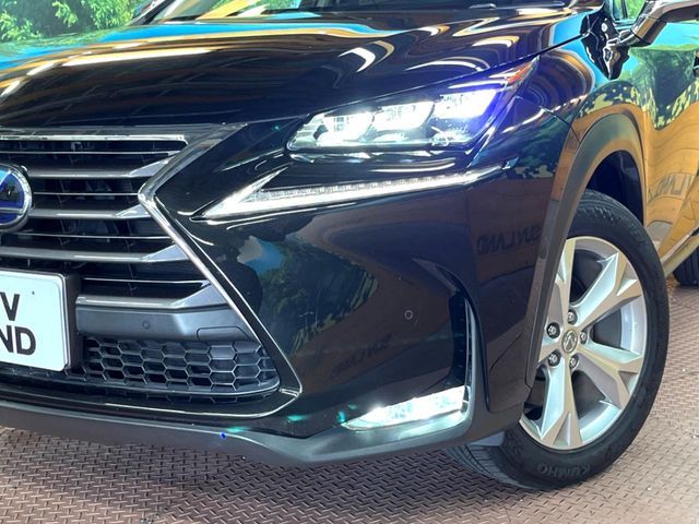 LEXUS NX300h