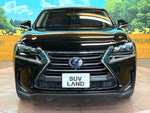 LEXUS NX300h