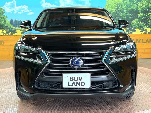 LEXUS NX300h