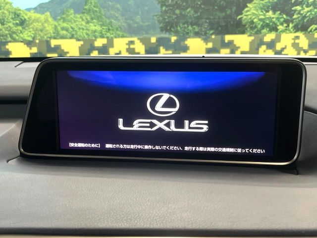 LEXUS RX200t