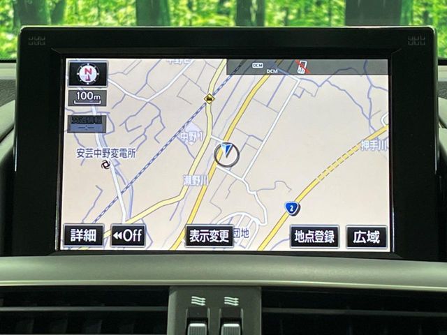 LEXUS HS250h
