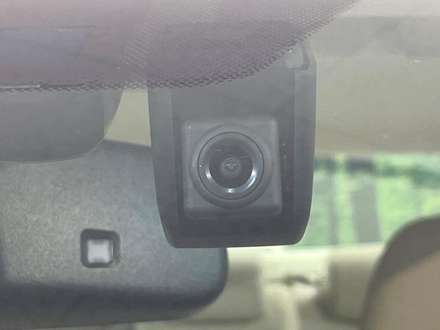LEXUS HS250h