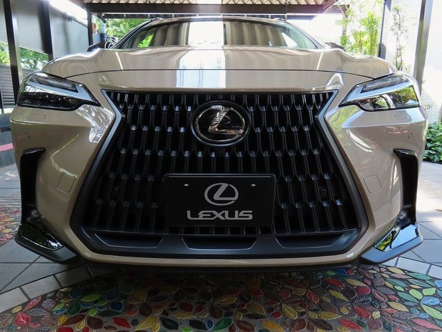 LEXUS NX350 AWD