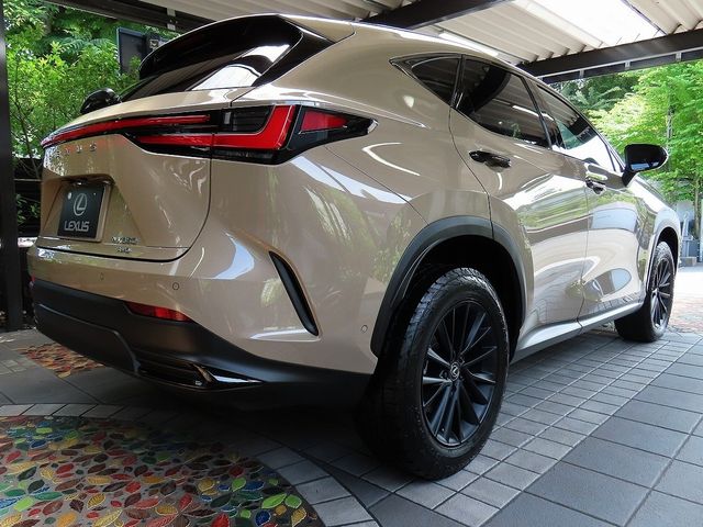 LEXUS NX350 AWD