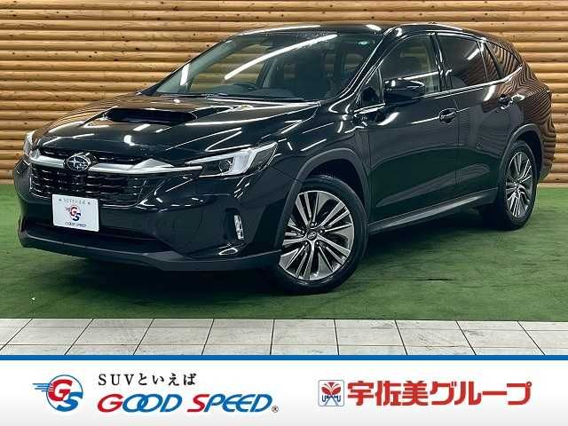 LEVORG LAYBACK
