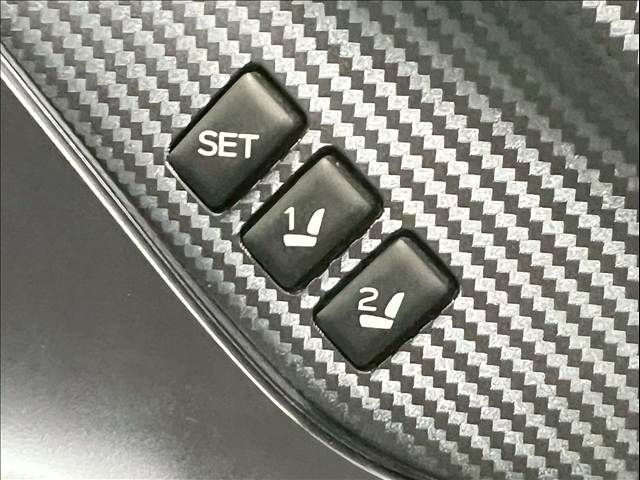 LEVORG LAYBACK