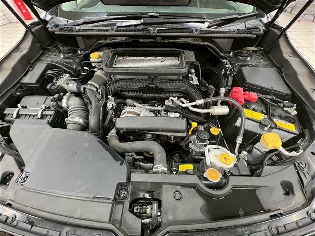 LEVORG LAYBACK