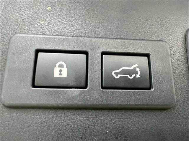 LEVORG LAYBACK