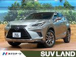 LEXUS NX300h