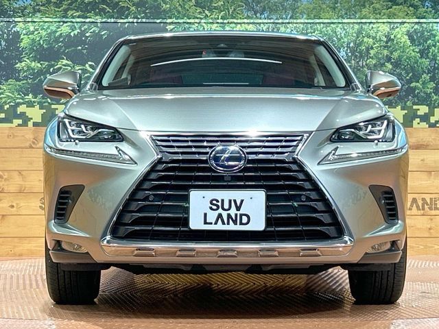 LEXUS NX300h