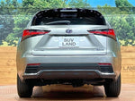 LEXUS NX300h