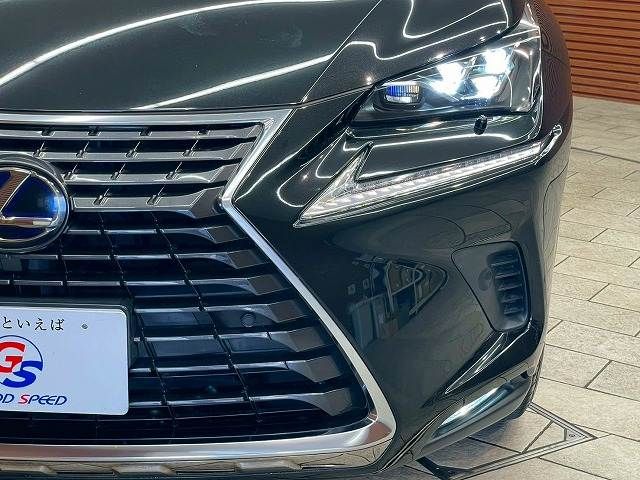 LEXUS NX300h