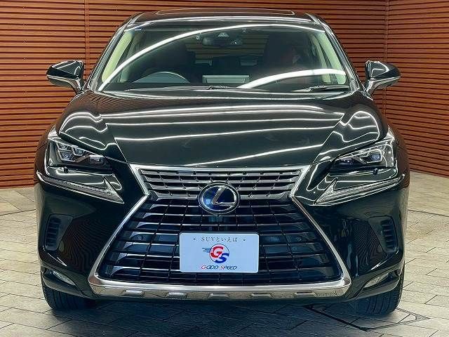 LEXUS NX300h