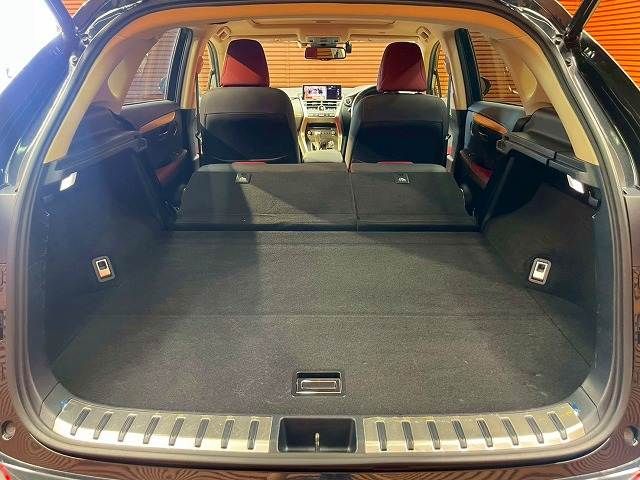 LEXUS NX300h