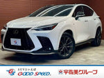 LEXUS NX350h