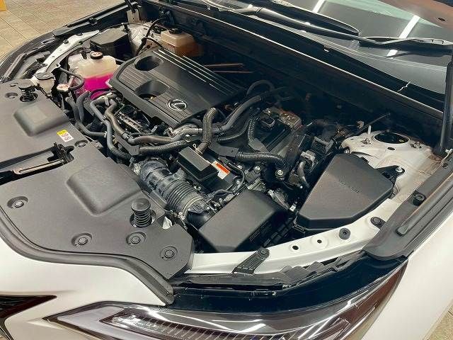 LEXUS NX350h
