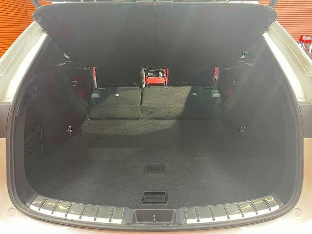 LEXUS NX350h