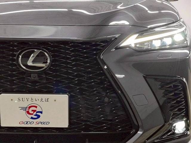LEXUS NX450h+ AWD