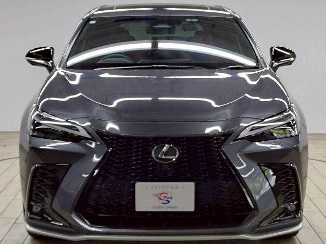 LEXUS NX450h+ AWD