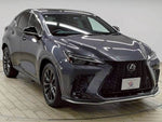 LEXUS NX450h+ AWD