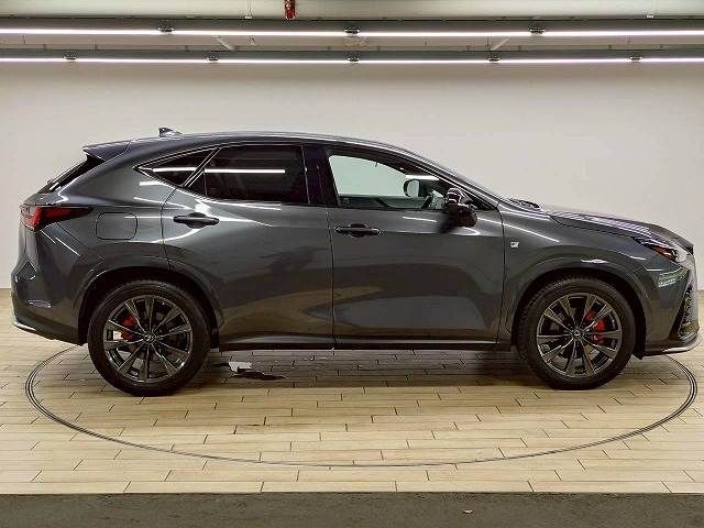 LEXUS NX450h+ AWD
