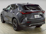 LEXUS NX450h+ AWD