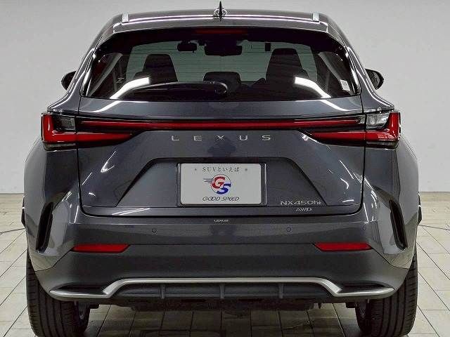 LEXUS NX450h+ AWD