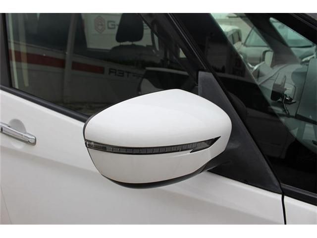 SERENA  S-HYBRID