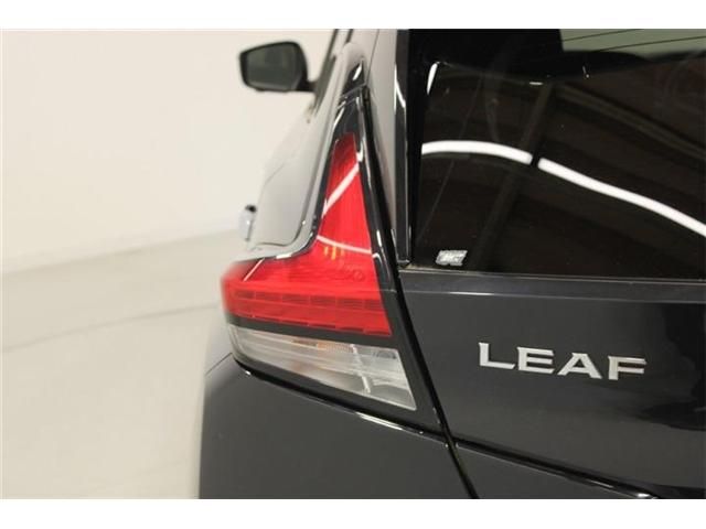 LEAF