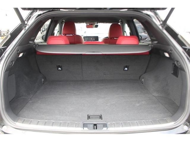 LEXUS RX300
