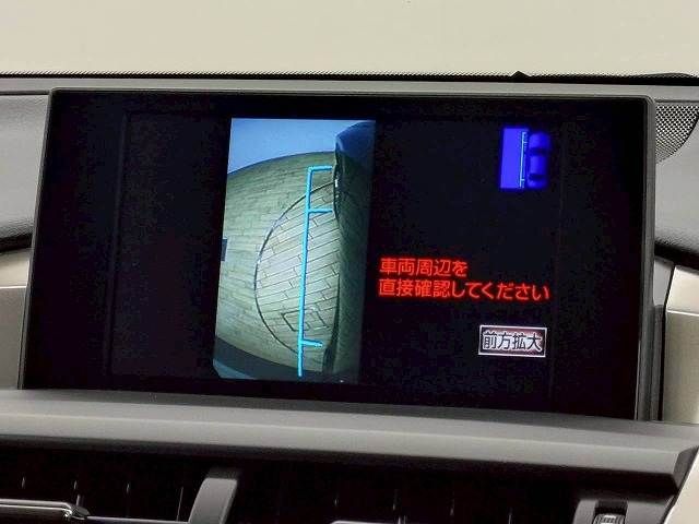 LEXUS NX300h
