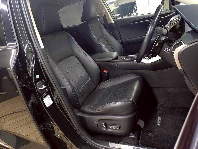 LEXUS NX300h