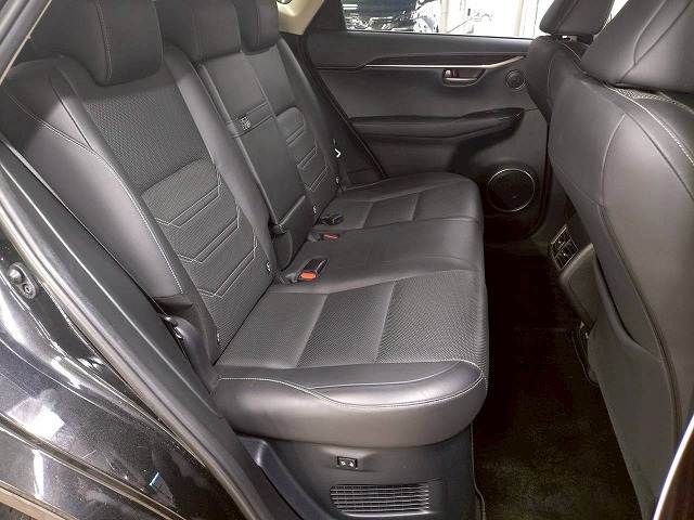 LEXUS NX300h