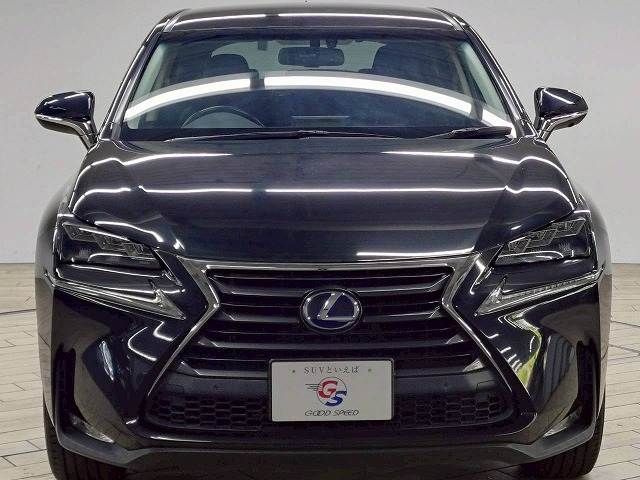LEXUS NX300h