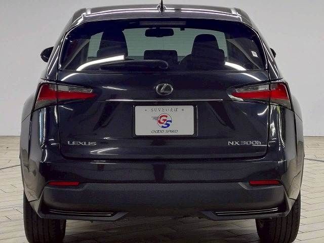 LEXUS NX300h