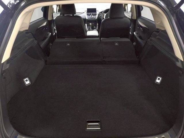 LEXUS NX300h