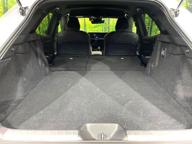 CROWN SPORT