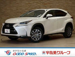 LEXUS NX300h