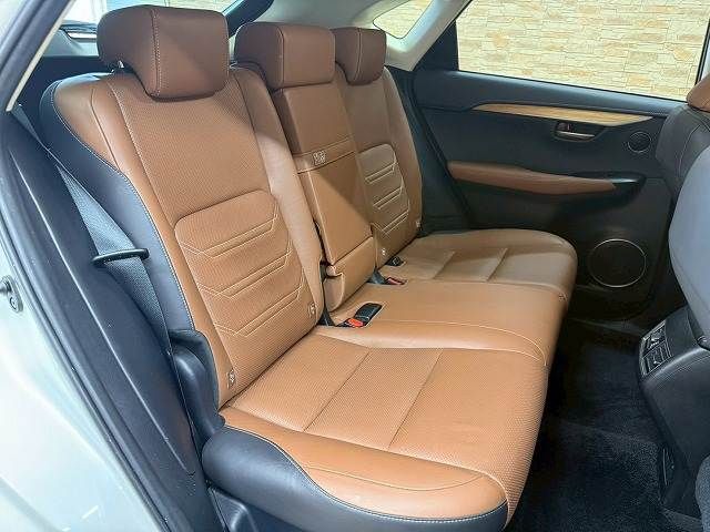 LEXUS NX300h