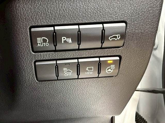 LEXUS NX300h